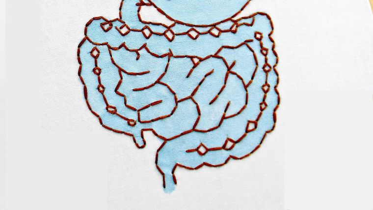 A depiction of the intestines in embroidery.
