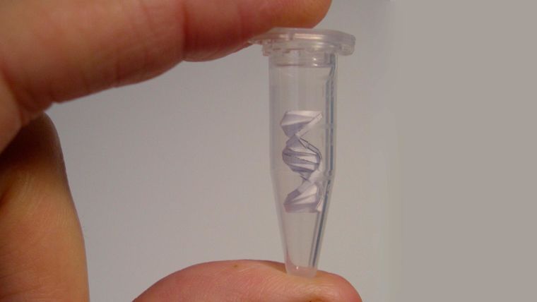 Paper origami DNA in a test tube