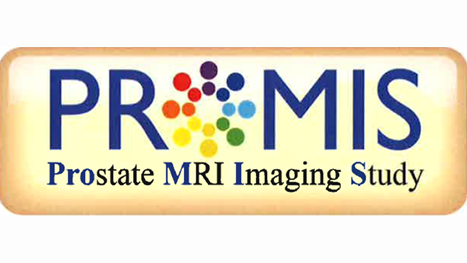 Prostate MRI Imaging Study PROMIS