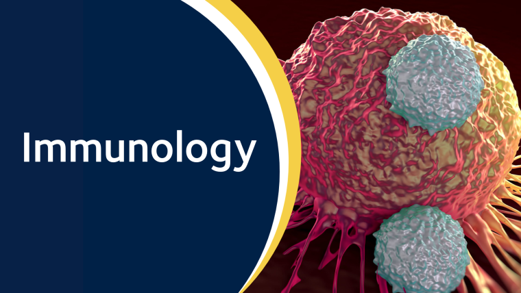 Oxford is ranked top in Europe for immunology research and is home to 85 research groups seeking to build on this standard of excellence and apply it to all aspect of our understanding of cancer